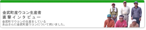 ウコン生産者インタビュー